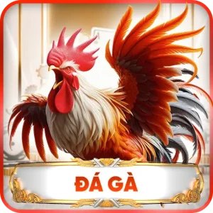 Đá Gà F168 – Những Trận Đấu Kịch Tính Dành Cho Người Đam Mê Chọi Kê
